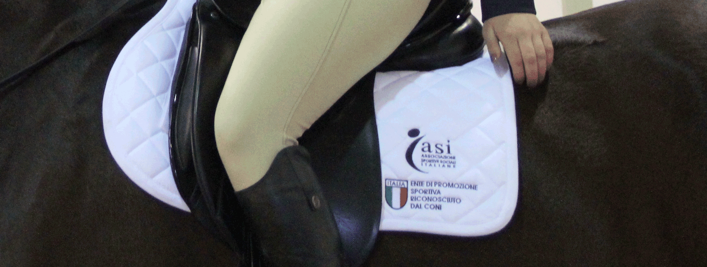 Clarico-Slider Style 3